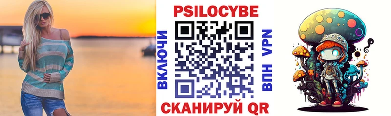 Купить где  Нефтеюганск  Галлюциногенные грибы Psilocybe 